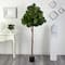 6ft. Potted Fiddle leaf Fig Artificial Tree